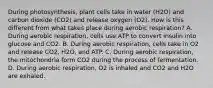 During photosynthesis, plant cells take in water (H2O) and carbon dioxide (CO2) and release oxygen (O2). How is this different from what takes place during aerobic respiration? A. During aerobic respiration, cells use ATP to convert insulin into glucose and CO2. B. During aerobic respiration, cells take in O2 and release CO2, H2O, and ATP. C. During aerobic respiration, the mitochondria form CO2 during the process of fermentation. D. During aerobic respiration, O2 is inhaled and CO2 and H2O are exhaled.