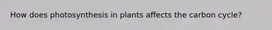 How does photosynthesis in plants affects the carbon cycle?