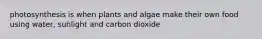 photosynthesis is when plants and algae make their own food using water, sunlight and carbon dioxide