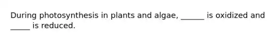 During photosynthesis in plants and algae, ______ is oxidized and _____ is reduced.