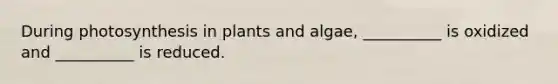 During photosynthesis in plants and algae, __________ is oxidized and __________ is reduced.