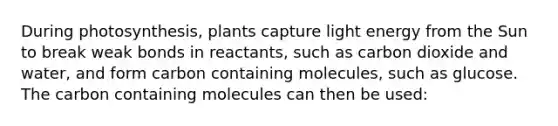 During photosynthesis, plants capture light energy from the Sun to break weak bonds in reactants, such as carbon dioxide and water, and form carbon containing molecules, such as glucose. The carbon containing molecules can then be used: