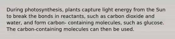 During photosynthesis, plants capture light energy from the Sun to break the bonds in reactants, such as carbon dioxide and water, and form carbon- containing molecules, such as glucose. The carbon-containing molecules can then be used.