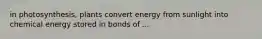 in photosynthesis, plants convert energy from sunlight into chemical energy stored in bonds of ...