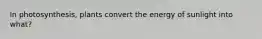 In photosynthesis, plants convert the energy of sunlight into what?