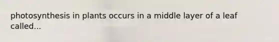 photosynthesis in plants occurs in a middle layer of a leaf called...