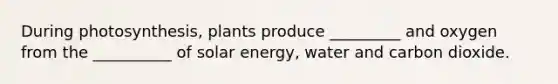 During photosynthesis, plants produce _________ and oxygen from the __________ of solar energy, water and carbon dioxide.