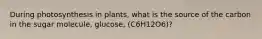 During photosynthesis in plants, what is the source of the carbon in the sugar molecule, glucose, (C6H12O6)?