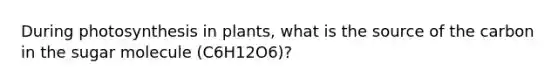 During photosynthesis in plants, what is the source of the carbon in the sugar molecule (C6H12O6)?