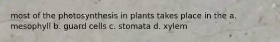 most of the photosynthesis in plants takes place in the a. mesophyll b. guard cells c. stomata d. xylem