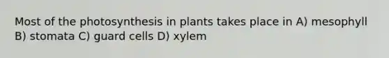 Most of the photosynthesis in plants takes place in A) mesophyll B) stomata C) guard cells D) xylem