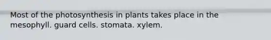 Most of the photosynthesis in plants takes place in the mesophyll. guard cells. stomata. xylem.