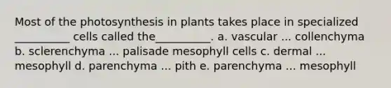 Most of the photosynthesis in plants takes place in specialized __________ cells called the__________. a. vascular ... collenchyma b. sclerenchyma ... palisade mesophyll cells c. dermal ... mesophyll d. parenchyma ... pith e. parenchyma ... mesophyll