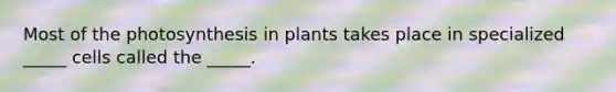 Most of the photosynthesis in plants takes place in specialized _____ cells called the _____.