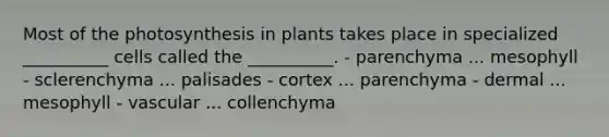 Most of the photosynthesis in plants takes place in specialized __________ cells called the __________. - parenchyma ... mesophyll - sclerenchyma ... palisades - cortex ... parenchyma - dermal ... mesophyll - vascular ... collenchyma