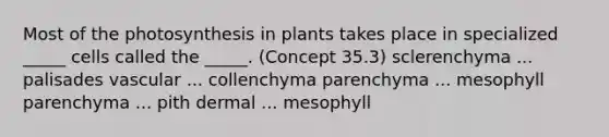 Most of the photosynthesis in plants takes place in specialized _____ cells called the _____. (Concept 35.3) sclerenchyma ... palisades vascular ... collenchyma parenchyma ... mesophyll parenchyma ... pith dermal ... mesophyll