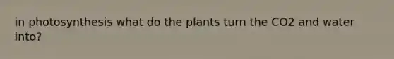 in photosynthesis what do the plants turn the CO2 and water into?