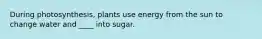 During photosynthesis, plants use energy from the sun to change water and ____ into sugar.