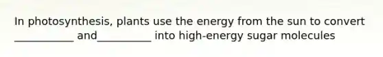 In photosynthesis, plants use the energy from the sun to convert ___________ and__________ into high-energy sugar molecules