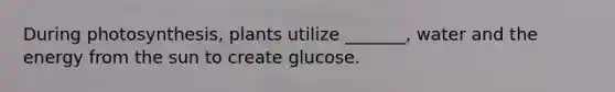 During photosynthesis, plants utilize _______, water and the energy from the sun to create glucose.