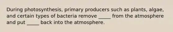 During photosynthesis, primary producers such as plants, algae, and certain types of bacteria remove _____ from the atmosphere and put _____ back into the atmosphere.