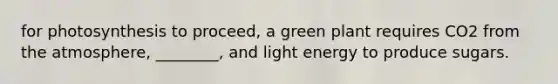 for photosynthesis to proceed, a green plant requires CO2 from the atmosphere, ________, and light energy to produce sugars.