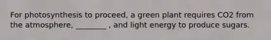 For photosynthesis to proceed, a green plant requires CO2 from the atmosphere, ________ , and light energy to produce sugars.