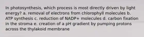 In photosynthesis, which process is most directly driven by light energy? a. removal of electrons from chlorophyll molecules b. <a href='https://www.questionai.com/knowledge/kx3XpCJrFz-atp-synthesis' class='anchor-knowledge'>atp synthesis</a> c. reduction of NADP+ molecules d. carbon fixation in the stroma e. creation of a pH gradient by pumping protons across the thylakoid membrane