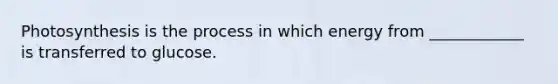 Photosynthesis is the process in which energy from ____________ is transferred to glucose.