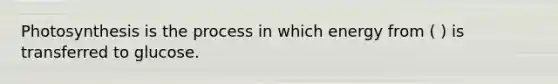 Photosynthesis is the process in which energy from ( ) is transferred to glucose.