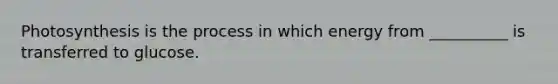 Photosynthesis is the process in which energy from __________ is transferred to glucose.