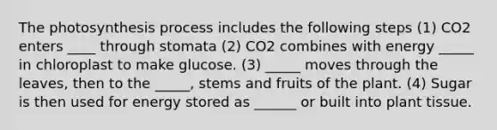 The photosynthesis process includes the following steps (1) CO2 enters ____ through stomata (2) CO2 combines with energy _____ in chloroplast to make glucose. (3) _____ moves through the leaves, then to the _____, stems and fruits of the plant. (4) Sugar is then used for energy stored as ______ or built into plant tissue.