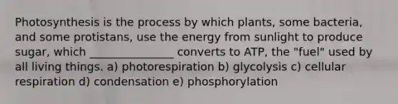 Photosynthesis is the process by which plants, some bacteria, and some protistans, use the energy from sunlight to produce sugar, which _______________ converts to ATP, the "fuel" used by all living things. a) photorespiration b) glycolysis c) cellular respiration d) condensation e) phosphorylation