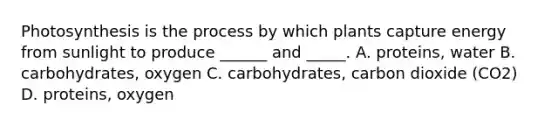 Photosynthesis is the process by which plants capture energy from sunlight to produce ______ and _____. A. proteins, water B. carbohydrates, oxygen C. carbohydrates, carbon dioxide (CO2) D. proteins, oxygen