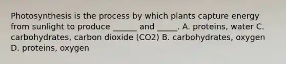 Photosynthesis is the process by which plants capture energy from sunlight to produce ______ and _____. A. proteins, water C. carbohydrates, carbon dioxide (CO2) B. carbohydrates, oxygen D. proteins, oxygen