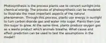 Photosynthesis is the process plants use to convert sunlight into chemical energy. The process of photosynthesis can be modeled to illustrate the most important aspects of the natural phenomenon. Through this process, plants use energy in sunlight to turn carbon dioxide gas and water into sugar. Plants then use this sugar to grow. At the same time, plants produce oxygen gas as a waste product which animals breathe. What cause and effect prediction can be used to test the assumptions in the model?