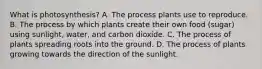 What is photosynthesis? A. The process plants use to reproduce. B. The process by which plants create their own food (sugar) using sunlight, water, and carbon dioxide. C. The process of plants spreading roots into the ground. D. The process of plants growing towards the direction of the sunlight.