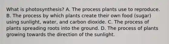 What is photosynthesis? A. The process plants use to reproduce. B. The process by which plants create their own food (sugar) using sunlight, water, and carbon dioxide. C. The process of plants spreading roots into the ground. D. The process of plants growing towards the direction of the sunlight.