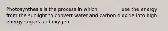 Photosynthesis is the process in which _________ use the energy from the sunlight to convert water and carbon dioxide into high energy sugars and oxygen.