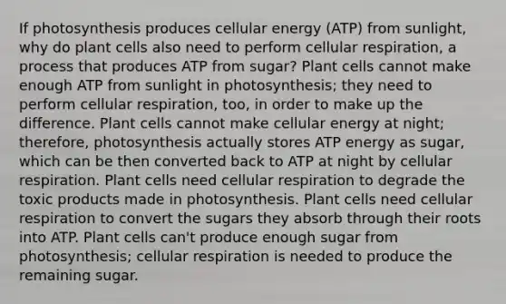 If photosynthesis produces cellular energy (ATP) from sunlight, why do plant cells also need to perform cellular respiration, a process that produces ATP from sugar? Plant cells cannot make enough ATP from sunlight in photosynthesis; they need to perform cellular respiration, too, in order to make up the difference. Plant cells cannot make cellular energy at night; therefore, photosynthesis actually stores ATP energy as sugar, which can be then converted back to ATP at night by cellular respiration. Plant cells need cellular respiration to degrade the toxic products made in photosynthesis. Plant cells need cellular respiration to convert the sugars they absorb through their roots into ATP. Plant cells can't produce enough sugar from photosynthesis; cellular respiration is needed to produce the remaining sugar.