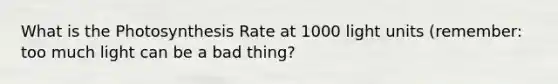 What is the Photosynthesis Rate at 1000 light units (remember: too much light can be a bad thing?