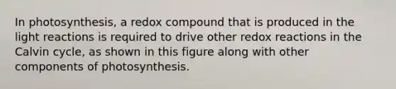 In photosynthesis, a redox compound that is produced in the <a href='https://www.questionai.com/knowledge/kSUoWrrvoC-light-reactions' class='anchor-knowledge'>light reactions</a> is required to drive other redox reactions in the Calvin cycle, as shown in this figure along with other components of photosynthesis.