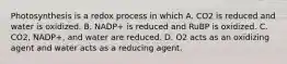 Photosynthesis is a redox process in which A. CO2 is reduced and water is oxidized. B. NADP+ is reduced and RuBP is oxidized. C. CO2, NADP+, and water are reduced. D. O2 acts as an oxidizing agent and water acts as a reducing agent.