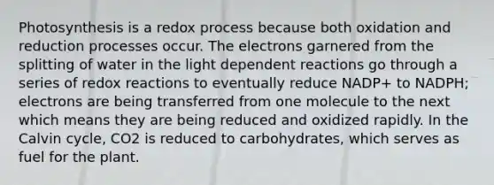 Photosynthesis is a redox process because both oxidation and reduction processes occur. The electrons garnered from the splitting of water in the light dependent reactions go through a series of redox reactions to eventually reduce NADP+ to NADPH; electrons are being transferred from one molecule to the next which means they are being reduced and oxidized rapidly. In the Calvin cycle, CO2 is reduced to carbohydrates, which serves as fuel for the plant.