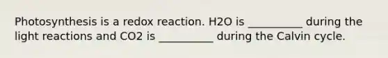 Photosynthesis is a redox reaction. H2O is __________ during the light reactions and CO2 is __________ during the Calvin cycle.