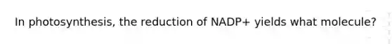 In photosynthesis, the reduction of NADP+ yields what molecule?