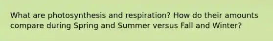 What are photosynthesis and respiration? How do their amounts compare during Spring and Summer versus Fall and Winter?