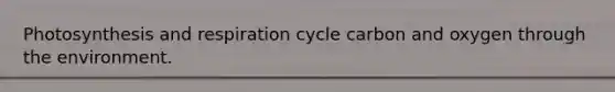 Photosynthesis and respiration cycle carbon and oxygen through the environment.