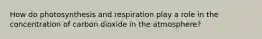 How do photosynthesis and respiration play a role in the concentration of carbon dioxide in the atmosphere?