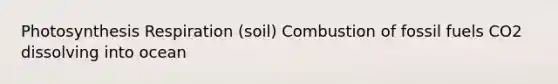 Photosynthesis Respiration (soil) Combustion of fossil fuels CO2 dissolving into ocean